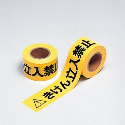 http://www.fd-kso.com/diary/fd-tachikin-tape-hn.jpg